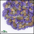 Skin Beauty Herb Flower Tea Forget Me Not Flower Herbal Tea or Dried Don't Forget Me Flower Herbal Tea